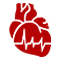 cardiologist in udaipur