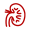 best cardiologist in udaipur