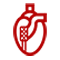 cardiologist doctor in udaipur